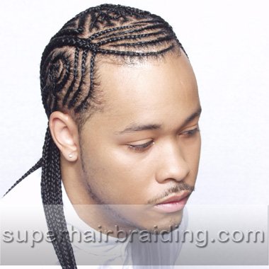 corn rows