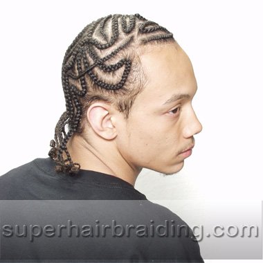 corn rows