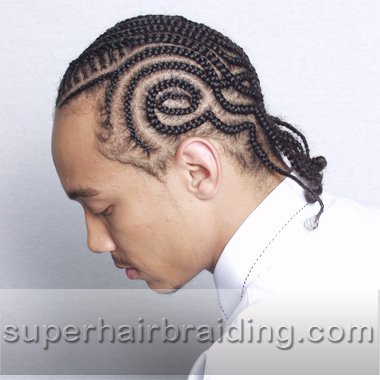 corn rows
