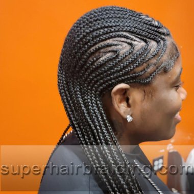 corn rows