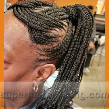 corn rows