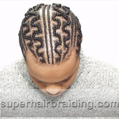 corn rows