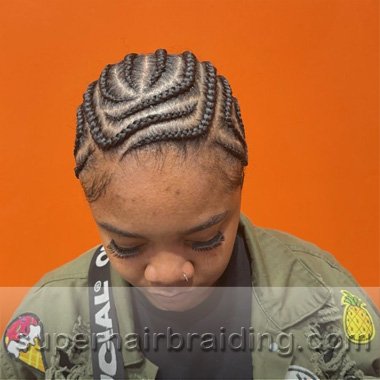 corn rows