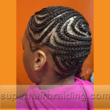 corn rows